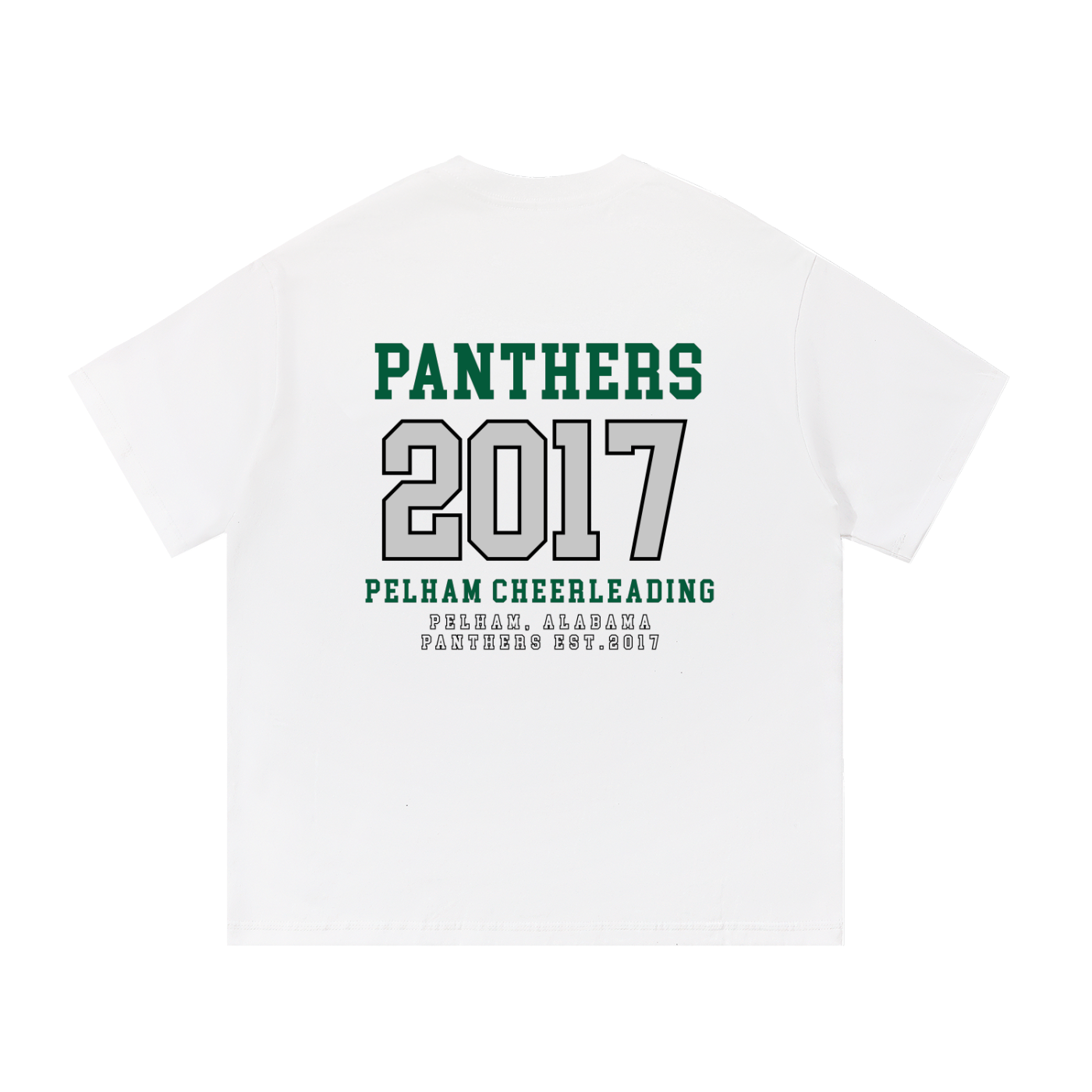 2017 Panthers Tee