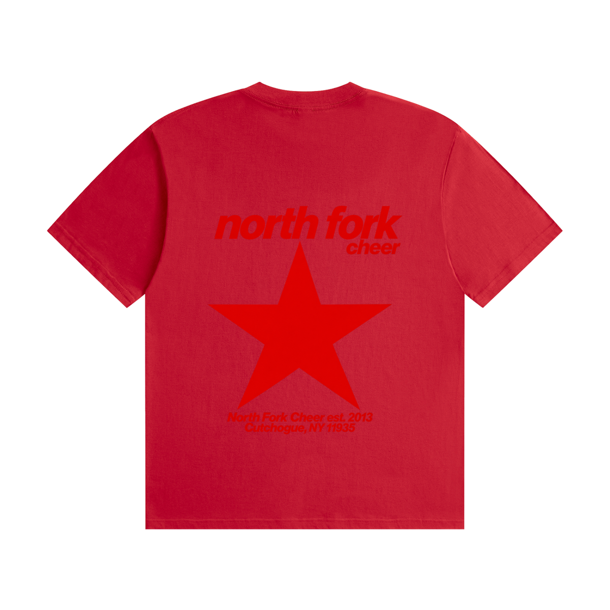 Big Star North Fork Unisex Seamless Cotton T-Shirt