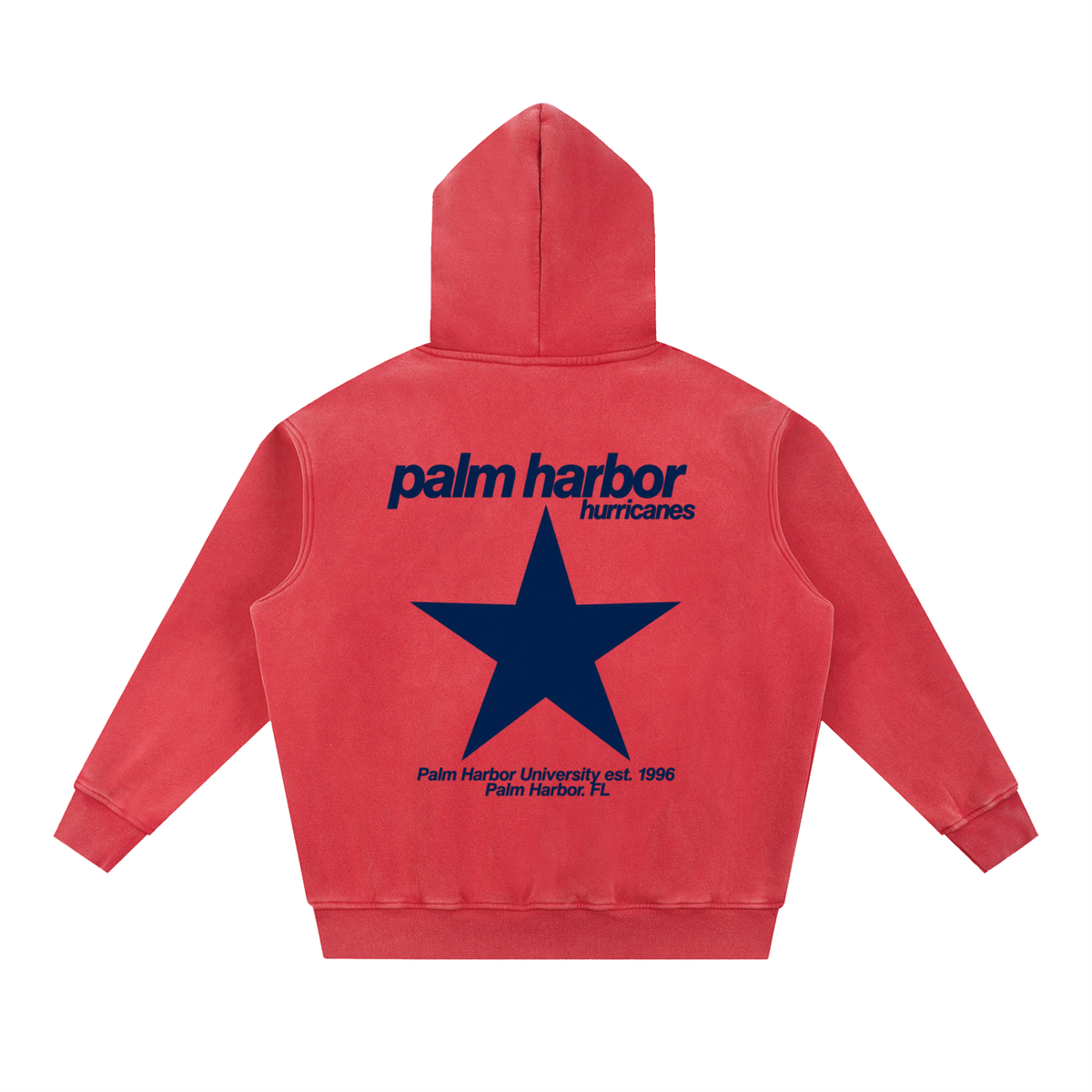 Big Star Palm Harbor Snow Wash Fleece Oversize Hoodie