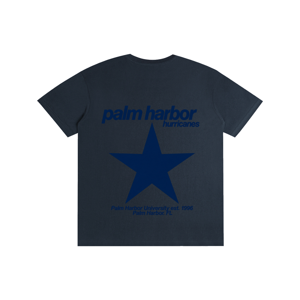 Big Star Palm Harbor Pure Cotton Unisex T-Shirt