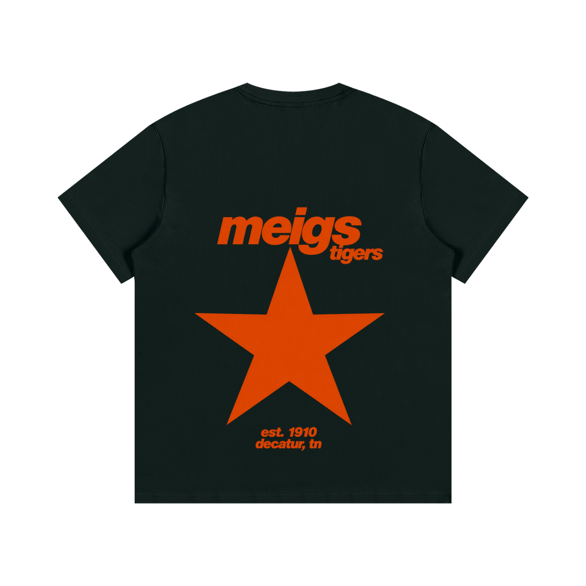 Big Star Meigs County Essential Cotton T-Shirt