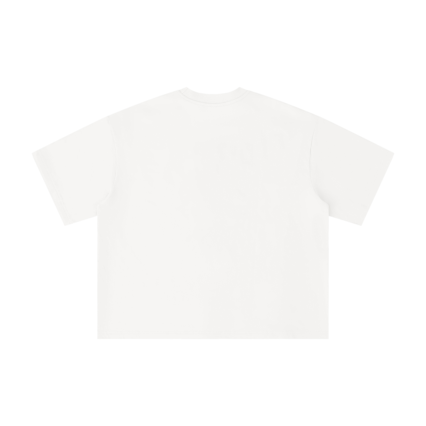 Unisex Boxy Oversized T-Shirt