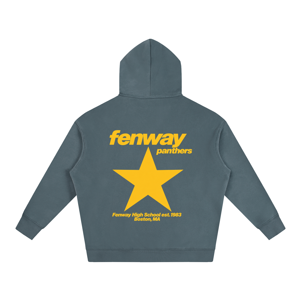 Big Star Fenway Oversize Fleeced Hoodie
