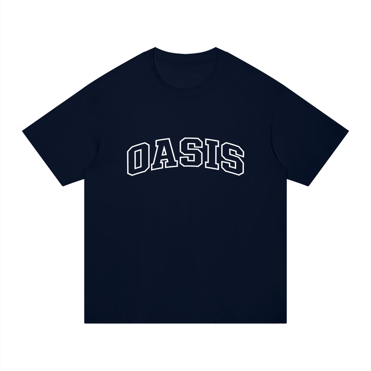 Basic 5 Oasis Unisex Regular Fit Cotton T-Shirt