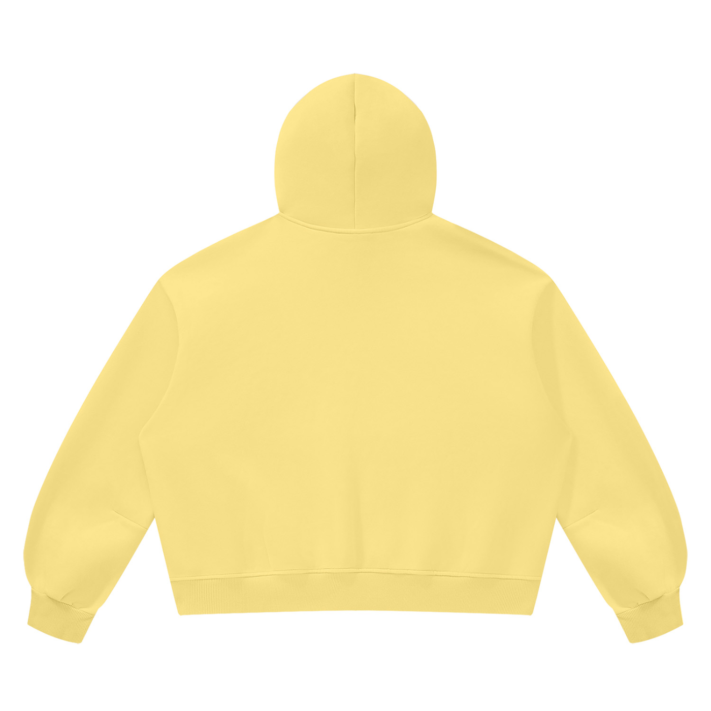 Unisex Vintage Wash Boxy Fleece Hoodie
