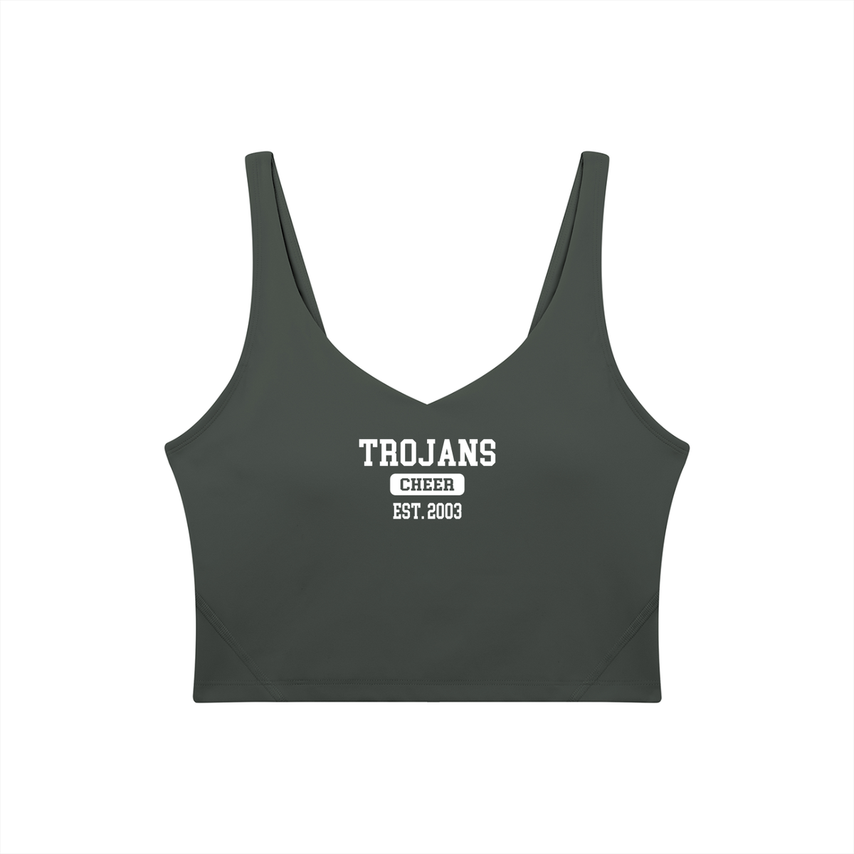 Old School James Island Women's V-Neck Yoga Sports Bra
