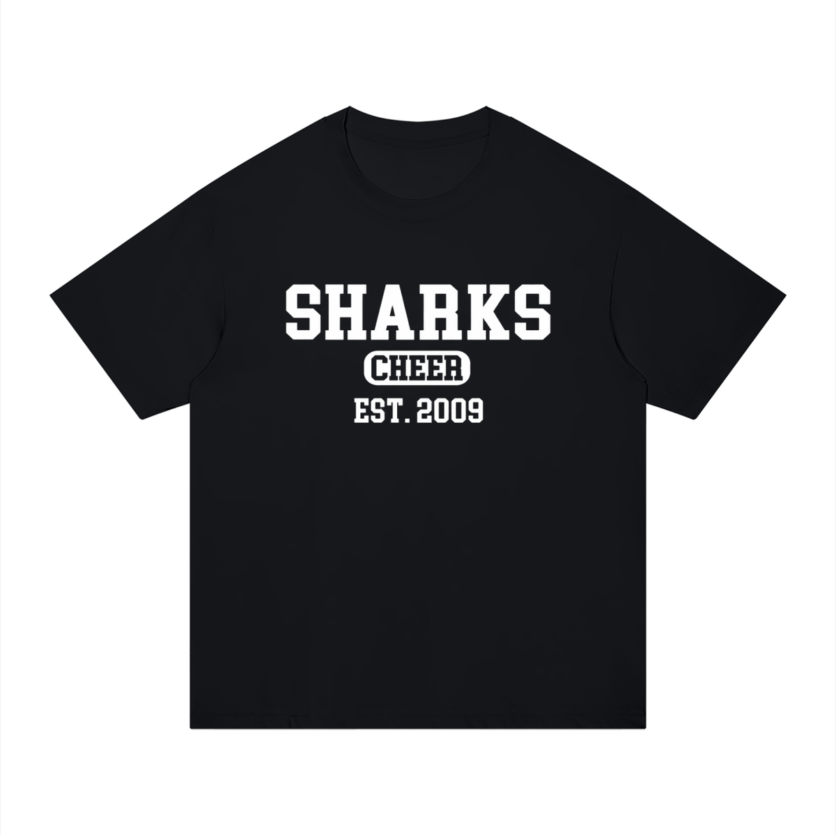 Old School Oasis Unisex Regular Fit Cotton T-Shirt