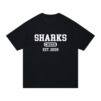 Old School Oasis Unisex Regular Fit Cotton T-Shirt