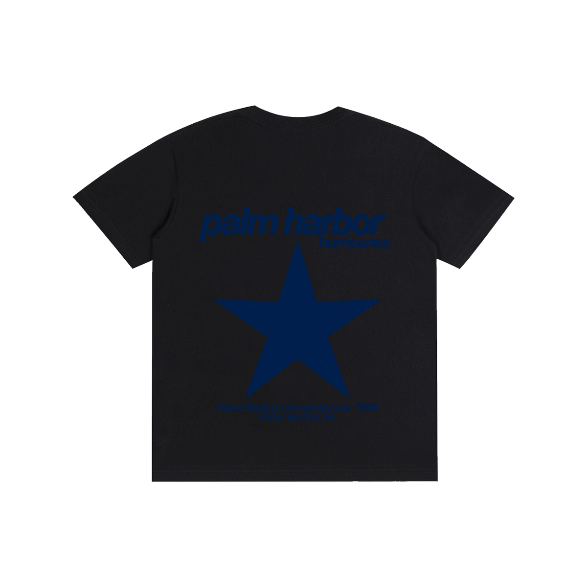 Big Star Palm Harbor Pure Cotton Unisex T-Shirt