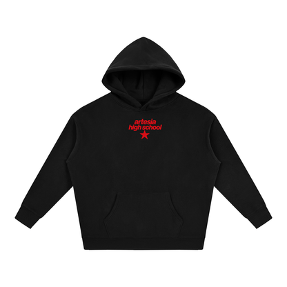 Big Star Artesia Oversize Fleeced Hoodie