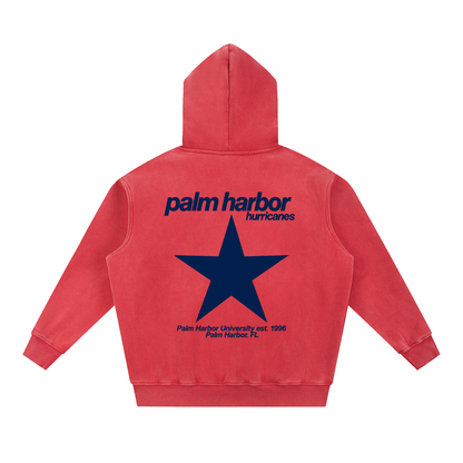 Big Star Palm Harbor Snow Wash Fleece Oversize Hoodie