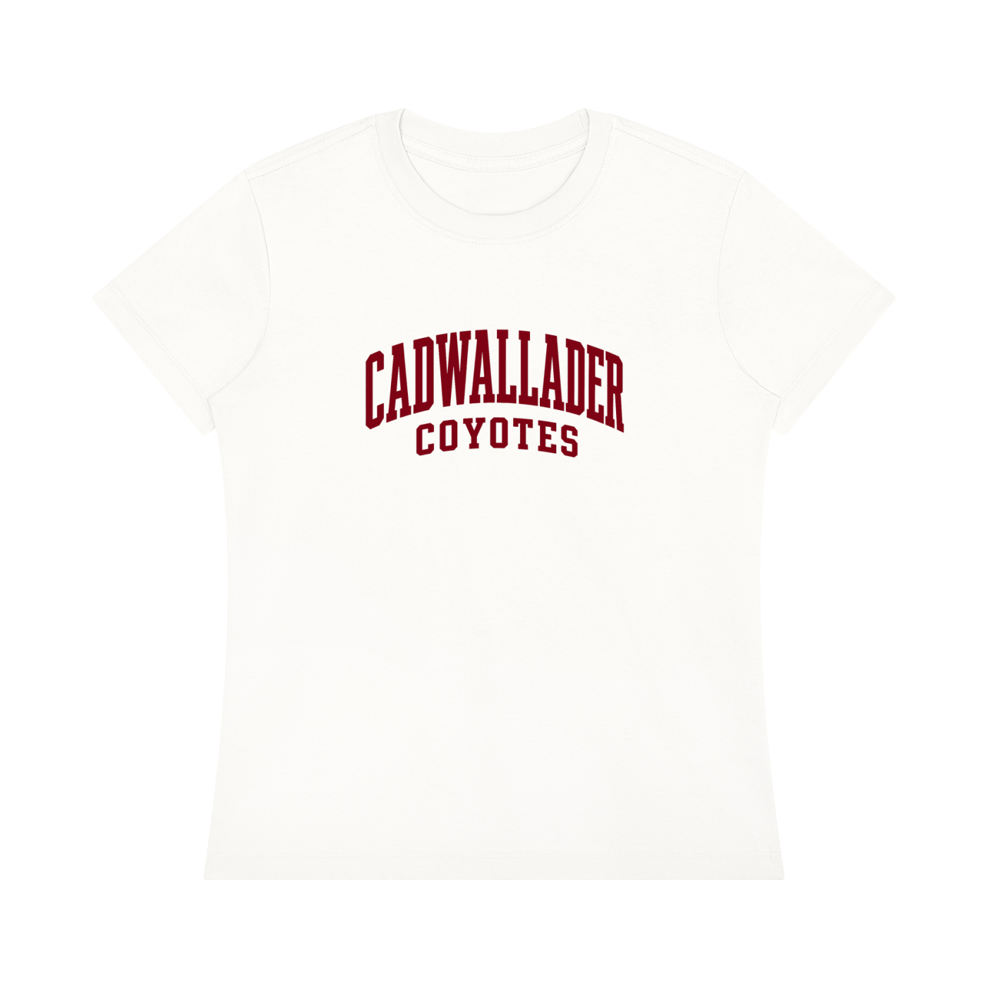 Women's Regular Fit Crewneck T-Shirt