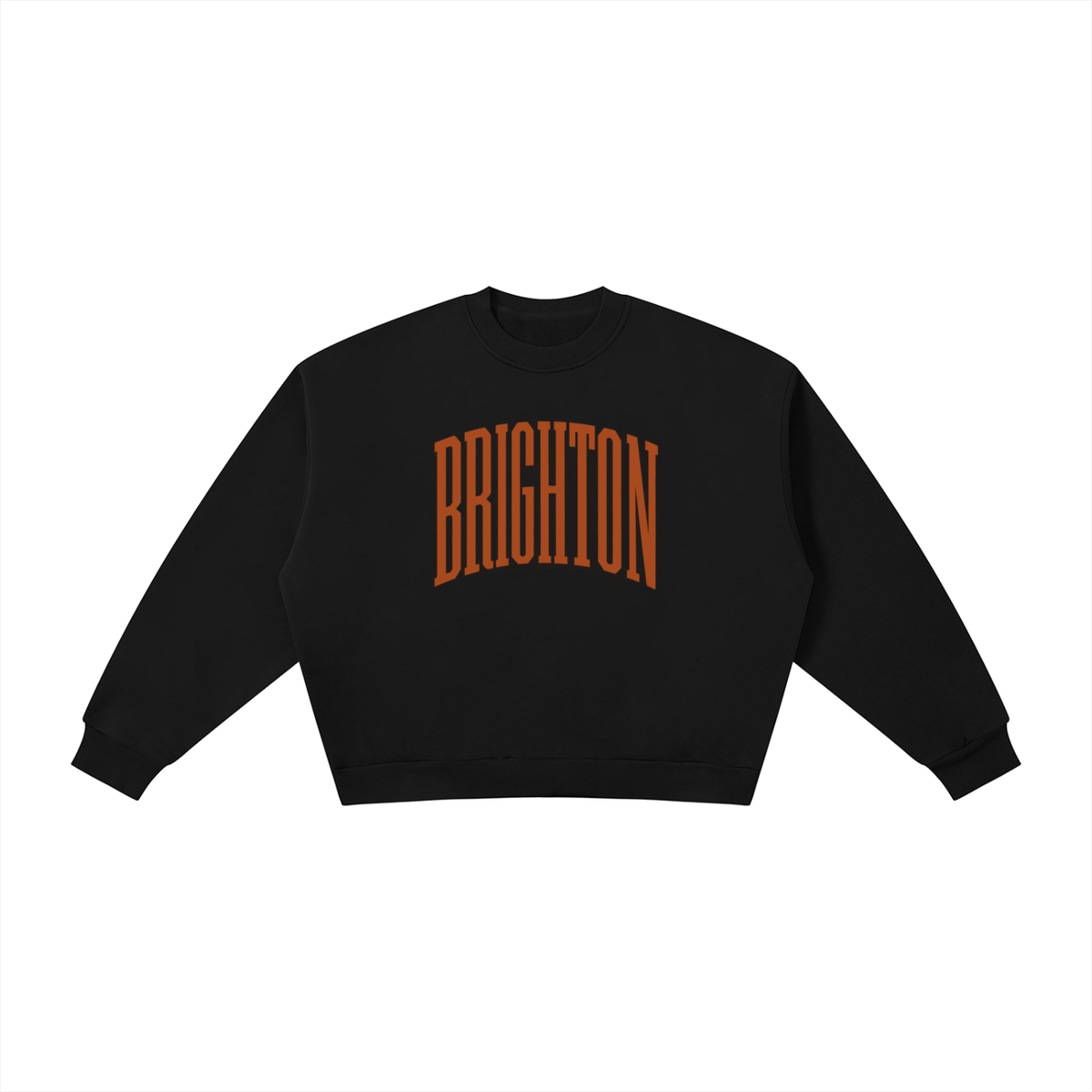 Boxy Fleece Crewneck Sweatshirt
