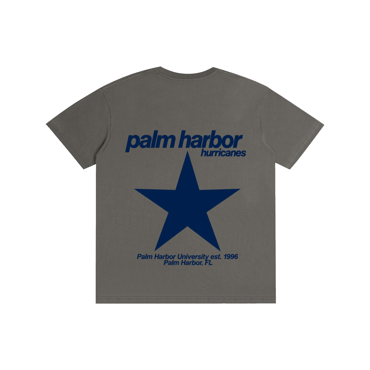 Big Star Palm Harbor Pure Cotton Unisex T-Shirt