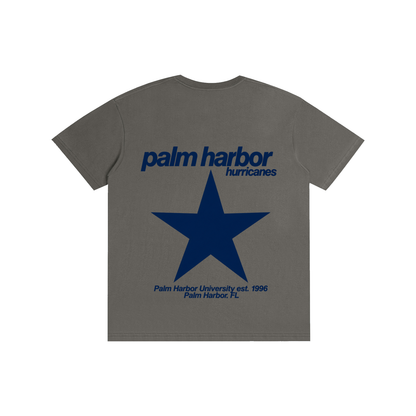 Big Star Palm Harbor Pure Cotton Unisex T-Shirt