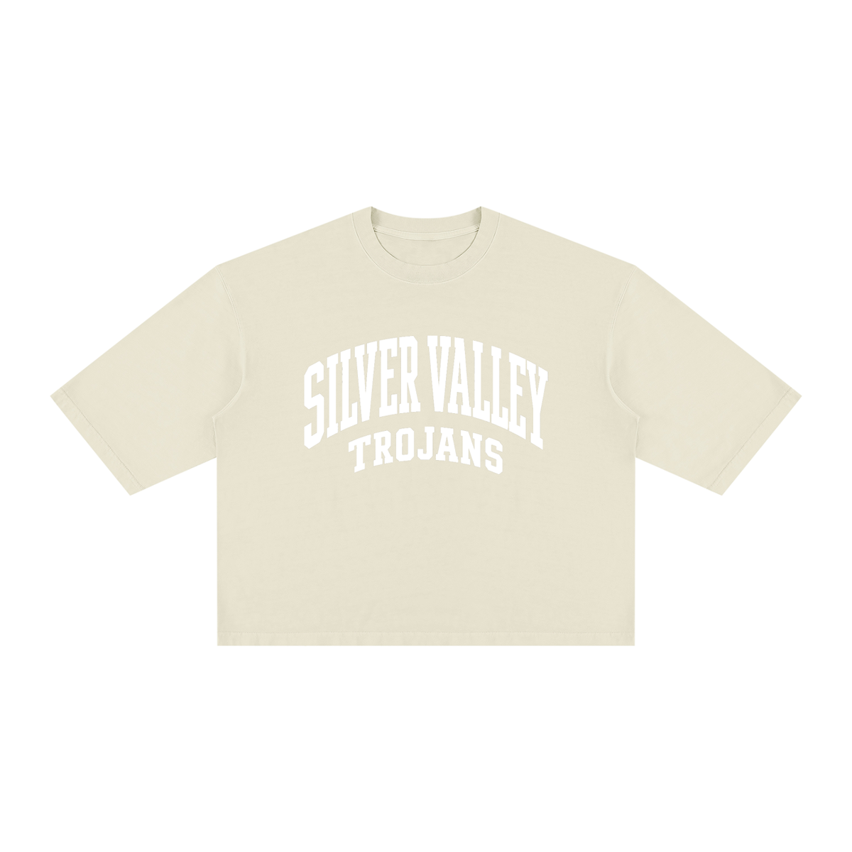 Unisex Vintage Wash Boxy T-Shirt