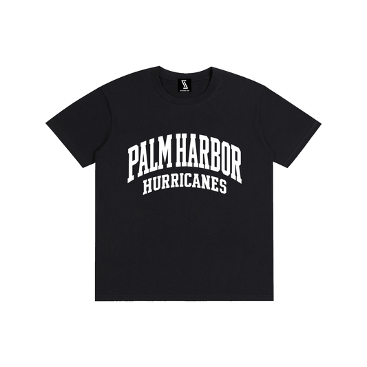 Basic 2 White Palm Harbor Pure Cotton Unisex T-Shirt