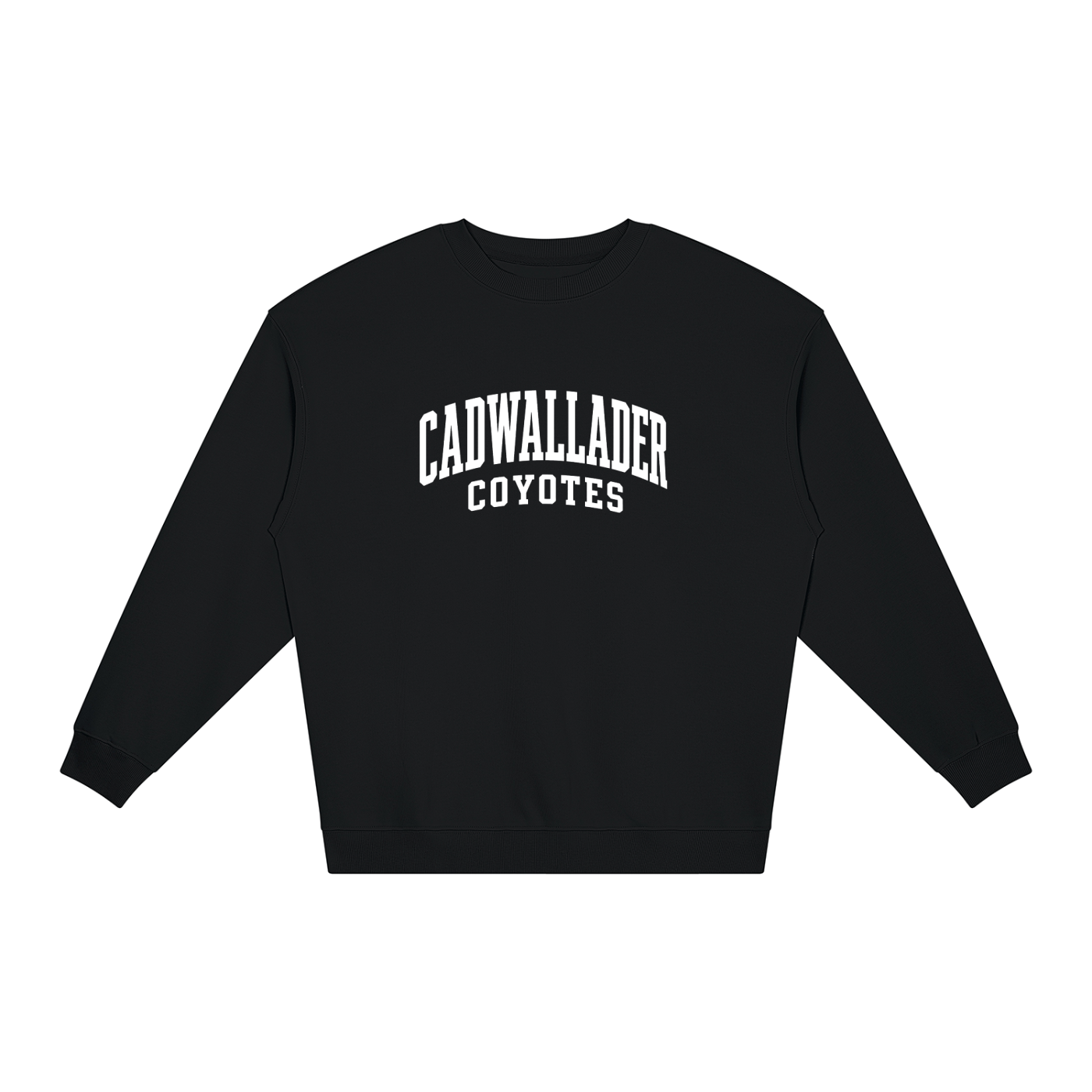 Unisex Loose Crewneck Sweatshirt