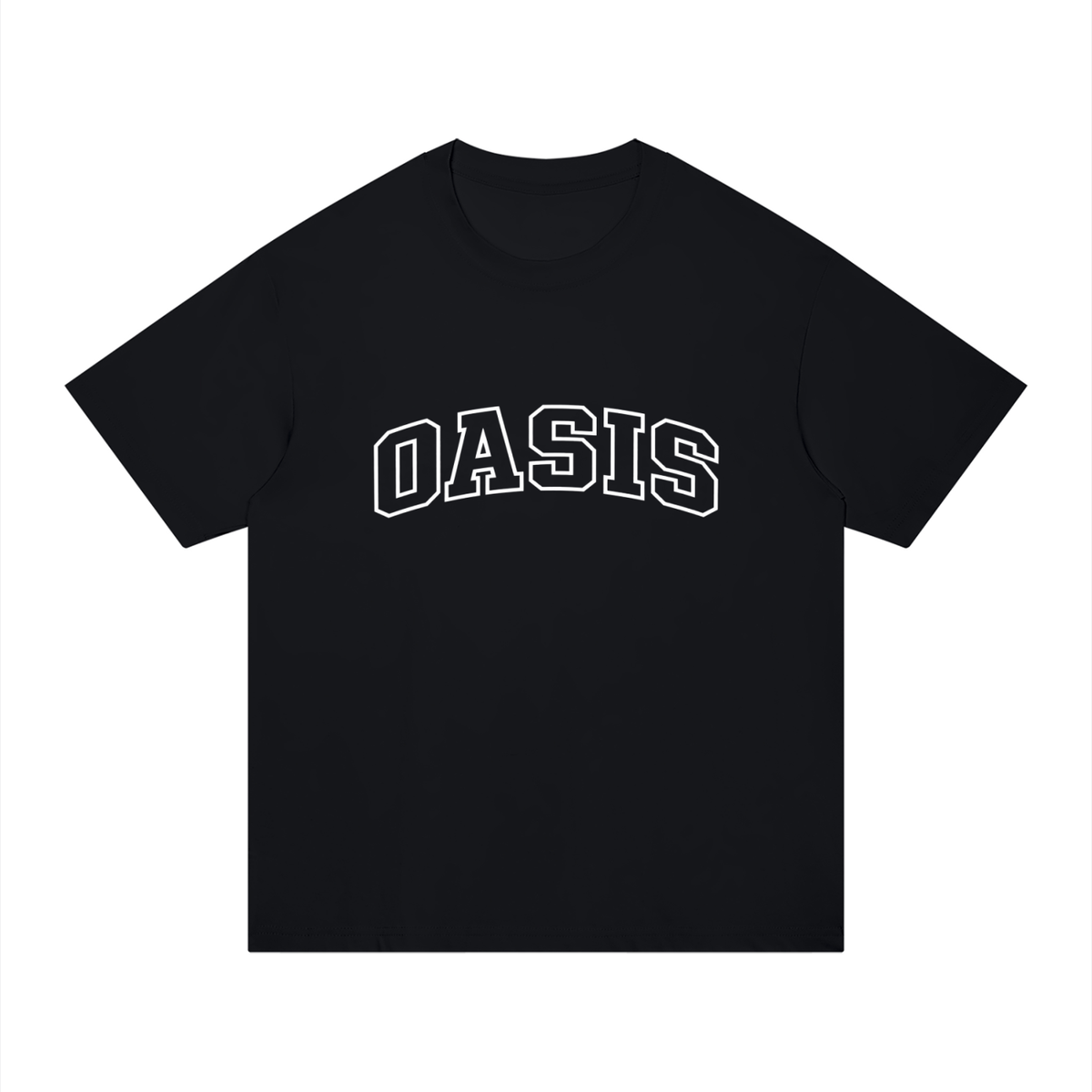 Basic 5 Oasis Unisex Regular Fit Cotton T-Shirt