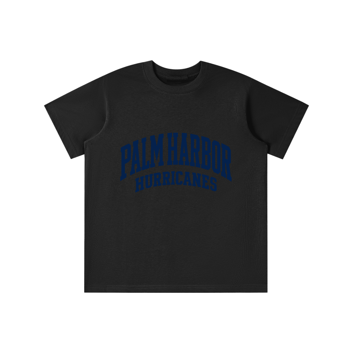 Basic 2 Palm Harbor Essential Kids' T-shirt