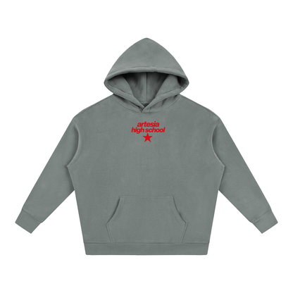 Big Star Artesia Oversize Fleeced Hoodie