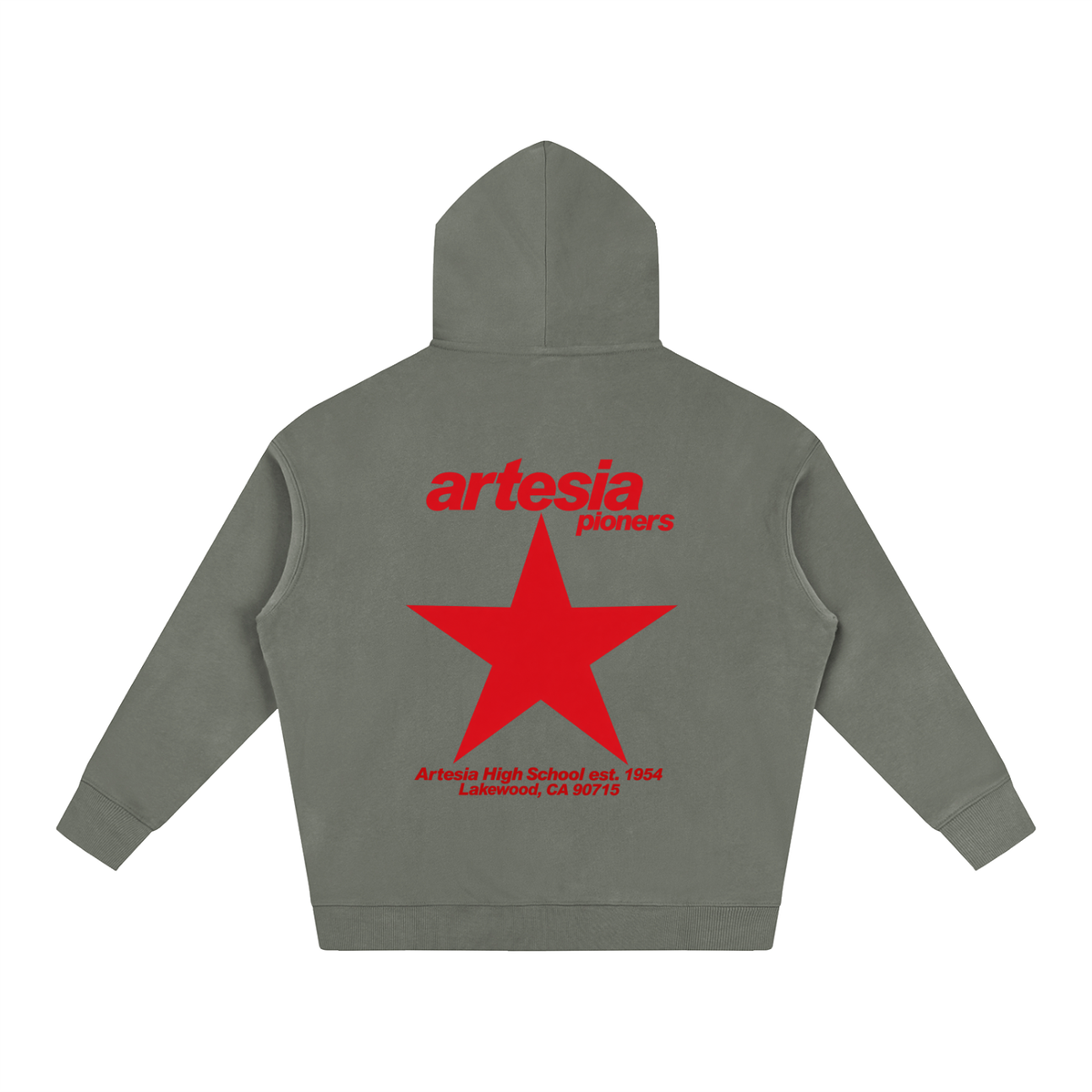 Big Star Artesia Oversize Fleeced Hoodie