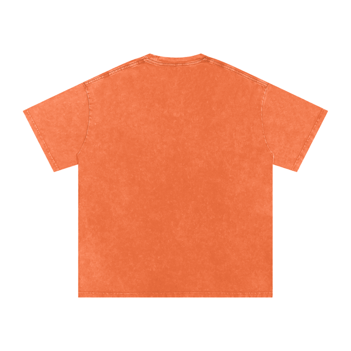 Vintage Rock Springs Snow Washed Oversized Cotton T-Shirt