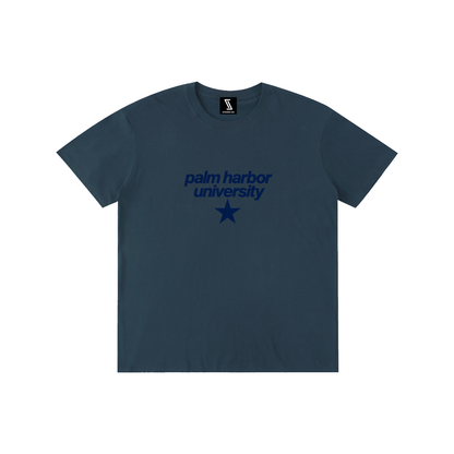 Big Star Palm Harbor Pure Cotton Unisex T-Shirt