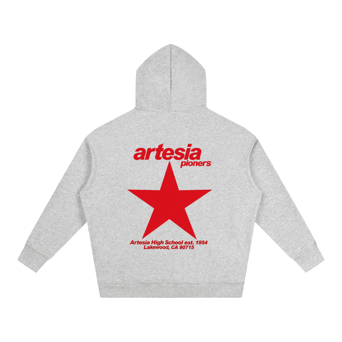 Big Star Artesia Oversize Fleeced Hoodie