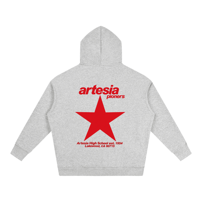 Big Star Artesia Oversize Fleeced Hoodie