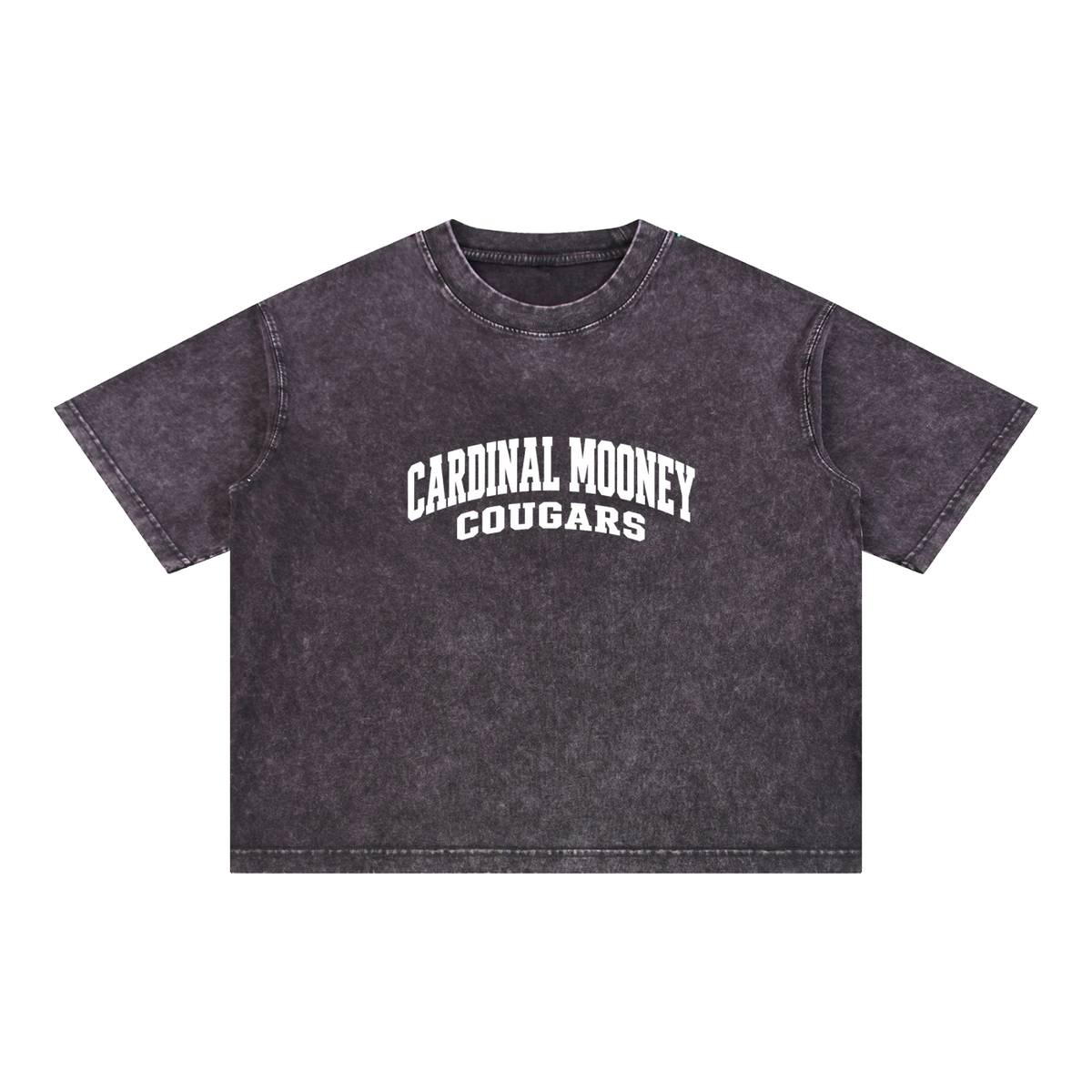Basic 2 White Cardinal Mooney Mineral Wash Boxy Cotton T-Shirt