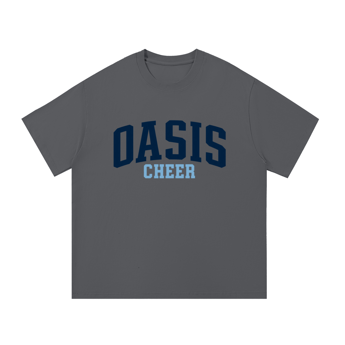 Basic 1 Oasis Essential Oversized Cotton T-Shirt