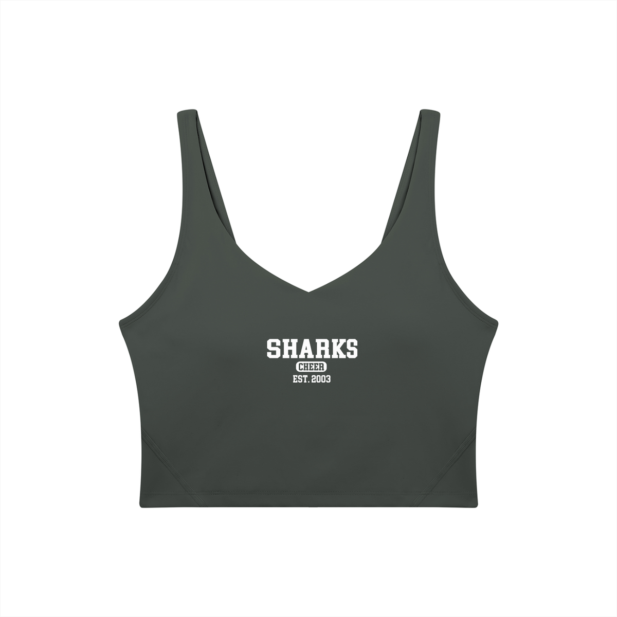 Old School Saint James Women's V-Neck Yoga Sports Bra