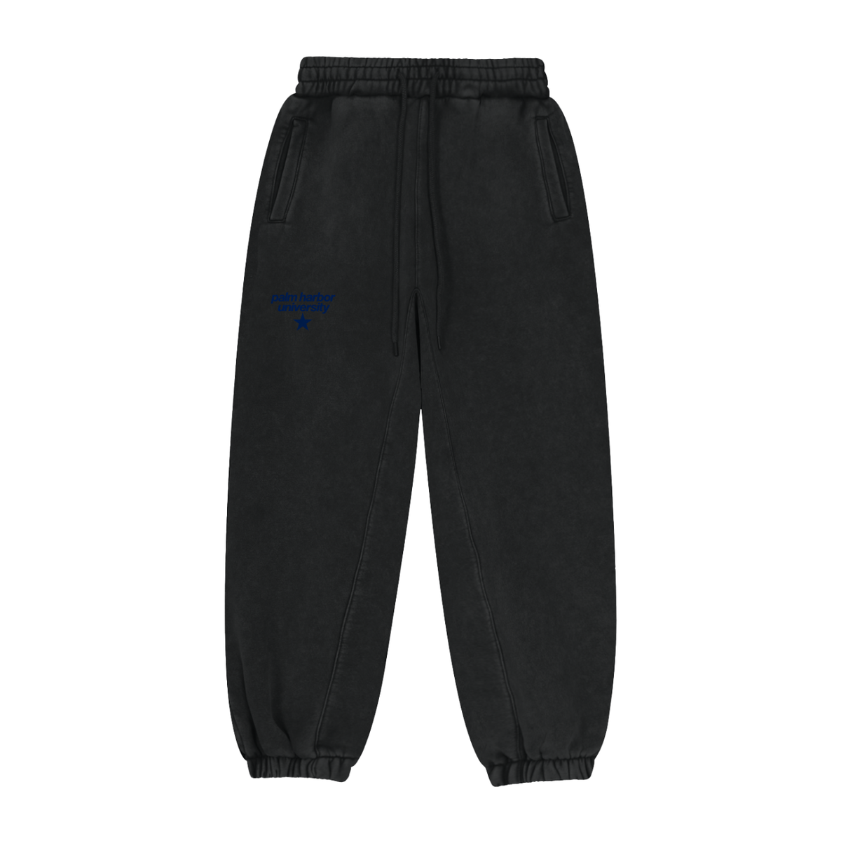 Big Star Front Palm Harbor Fleeced Jogger Sweatpants