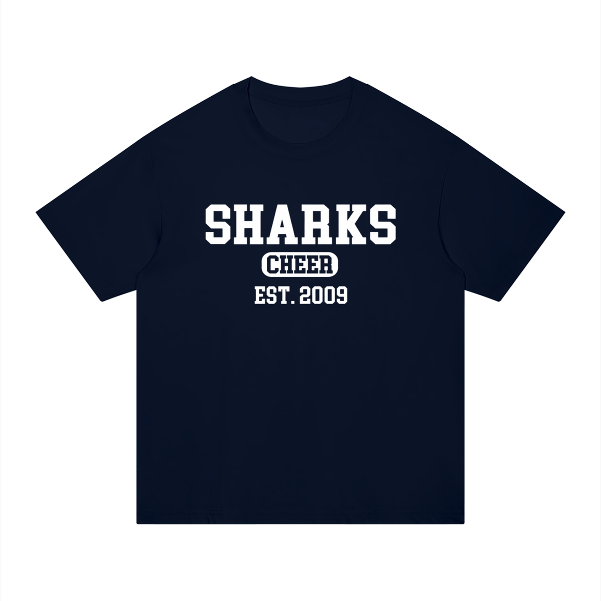 Old School Oasis Unisex Regular Fit Cotton T-Shirt