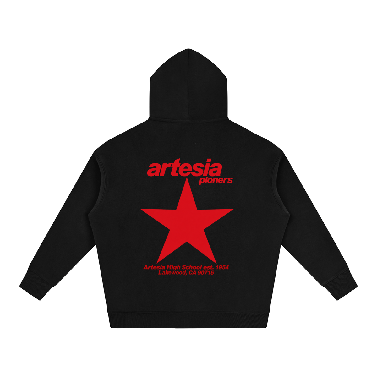 Big Star Artesia Oversize Fleeced Hoodie