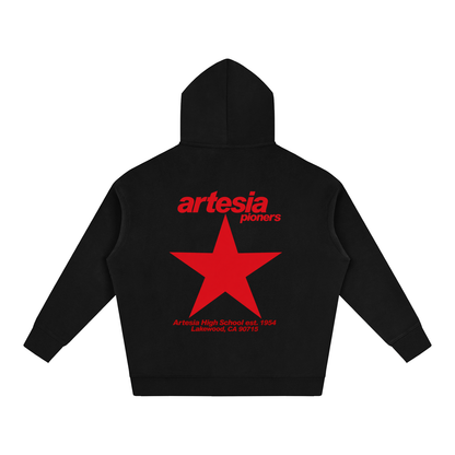 Big Star Artesia Oversize Fleeced Hoodie