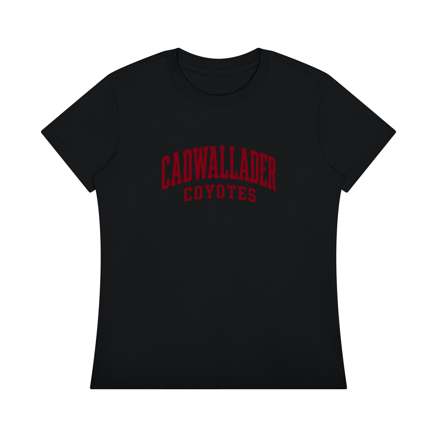 Women's Regular Fit Crewneck T-Shirt