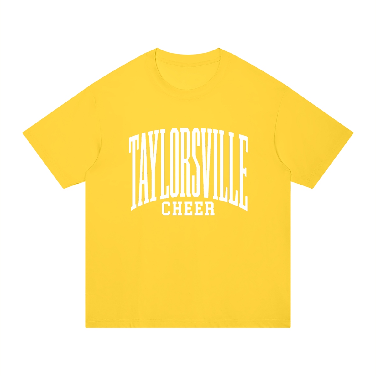 Basic 3 Taylorsville Unisex Regular Fit Cotton T-Shirt