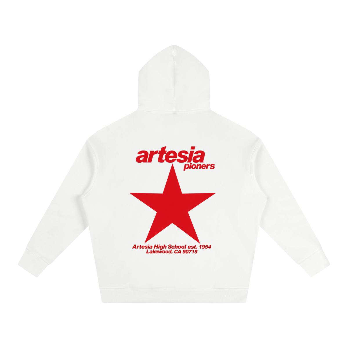 Big Star Artesia Oversize Fleeced Hoodie