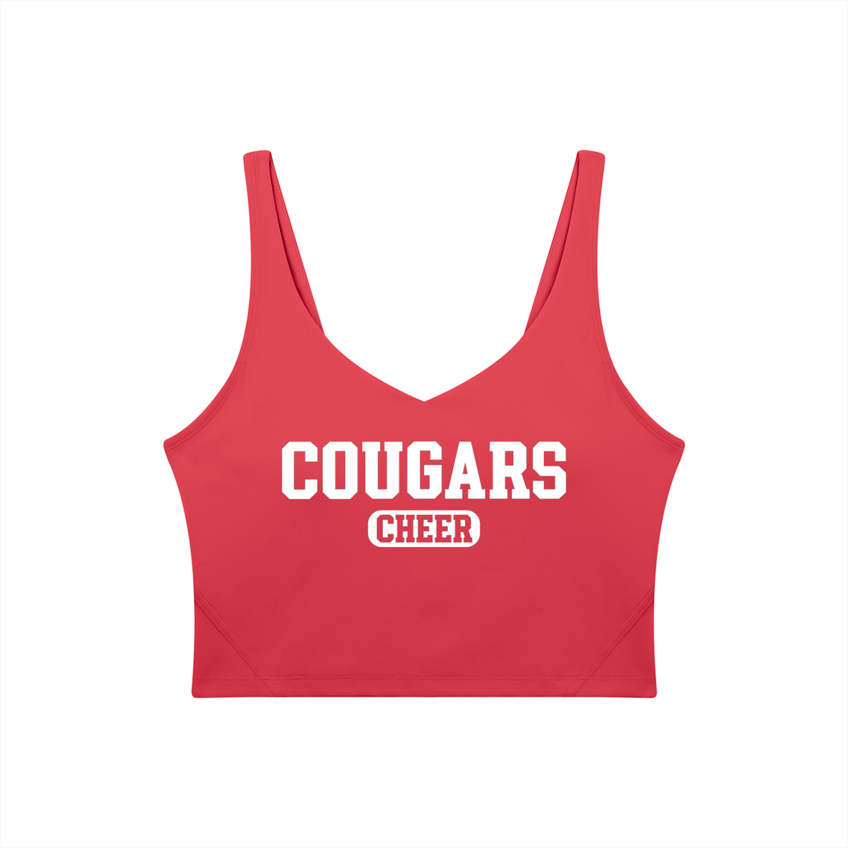 Old School Cardinal Mooney Women's V-Neck Yoga Sports Bra