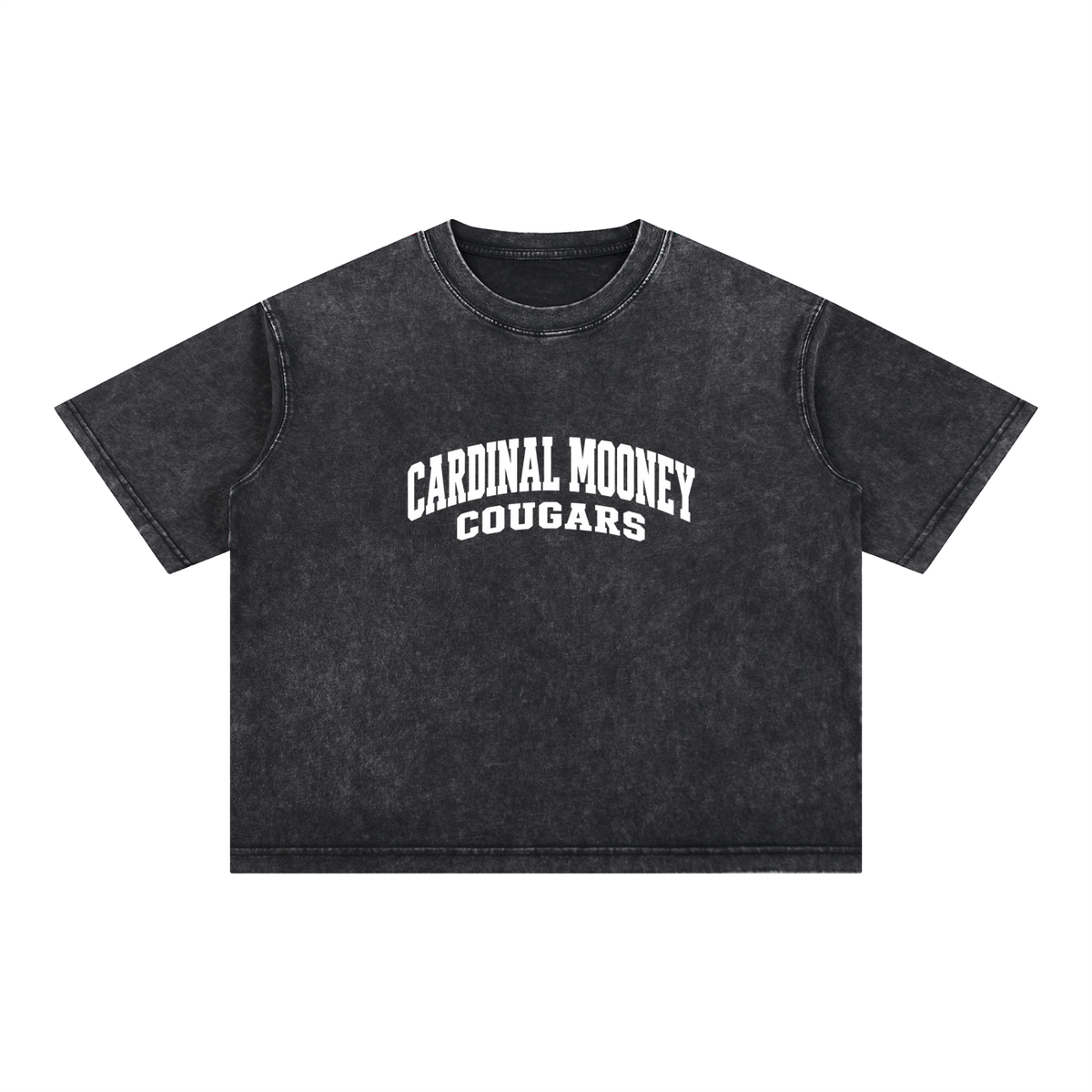 Basic 2 White Cardinal Mooney Mineral Wash Boxy Cotton T-Shirt