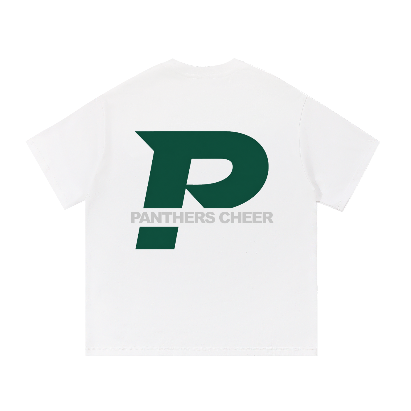 Big P Panthers Cheer
