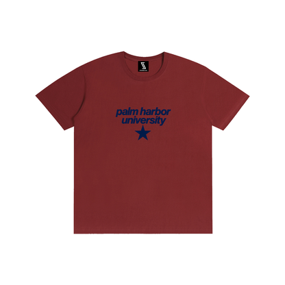 Big Star Palm Harbor Pure Cotton Unisex T-Shirt