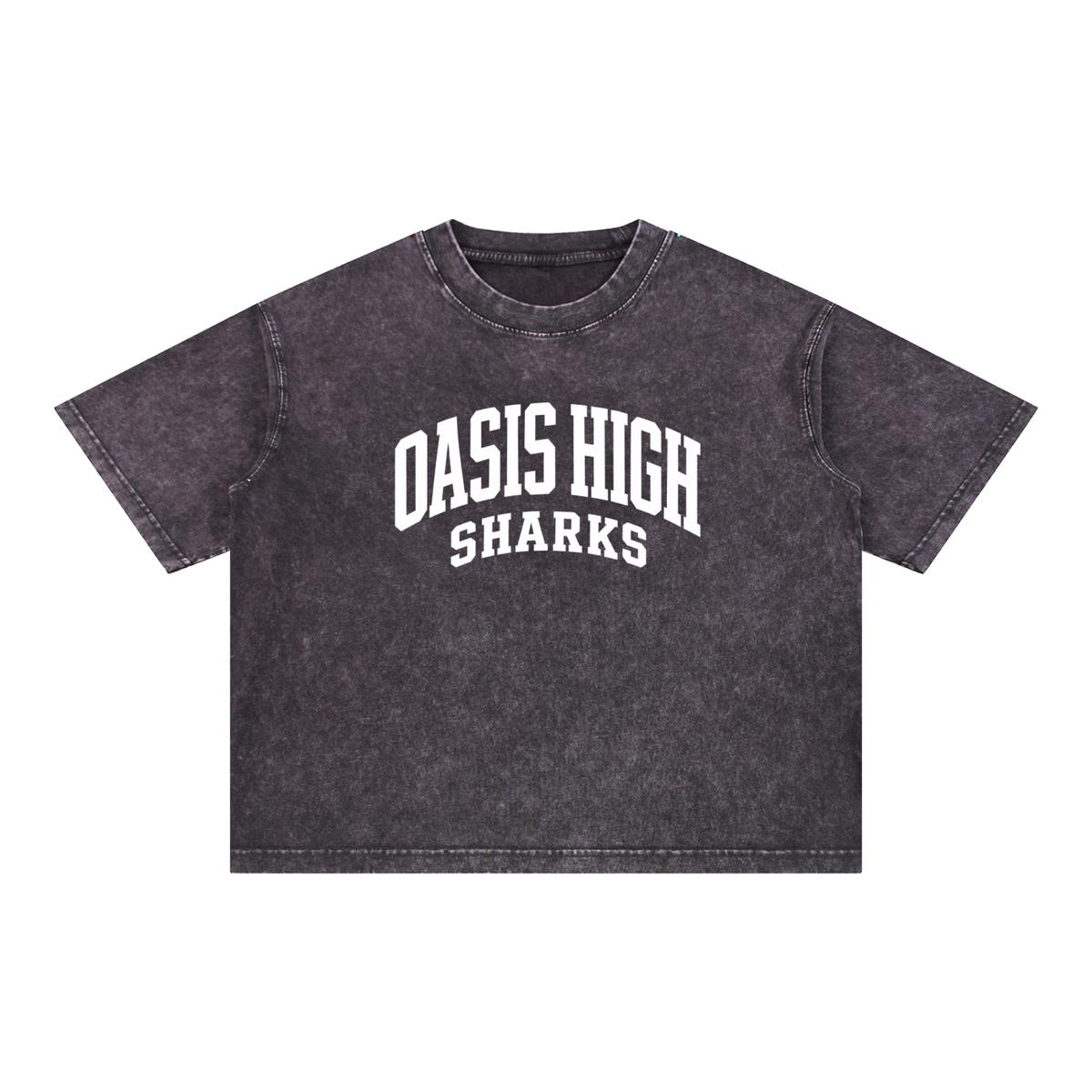 Basic 2 White Oasis Mineral Wash Boxy Cotton T-Shirt
