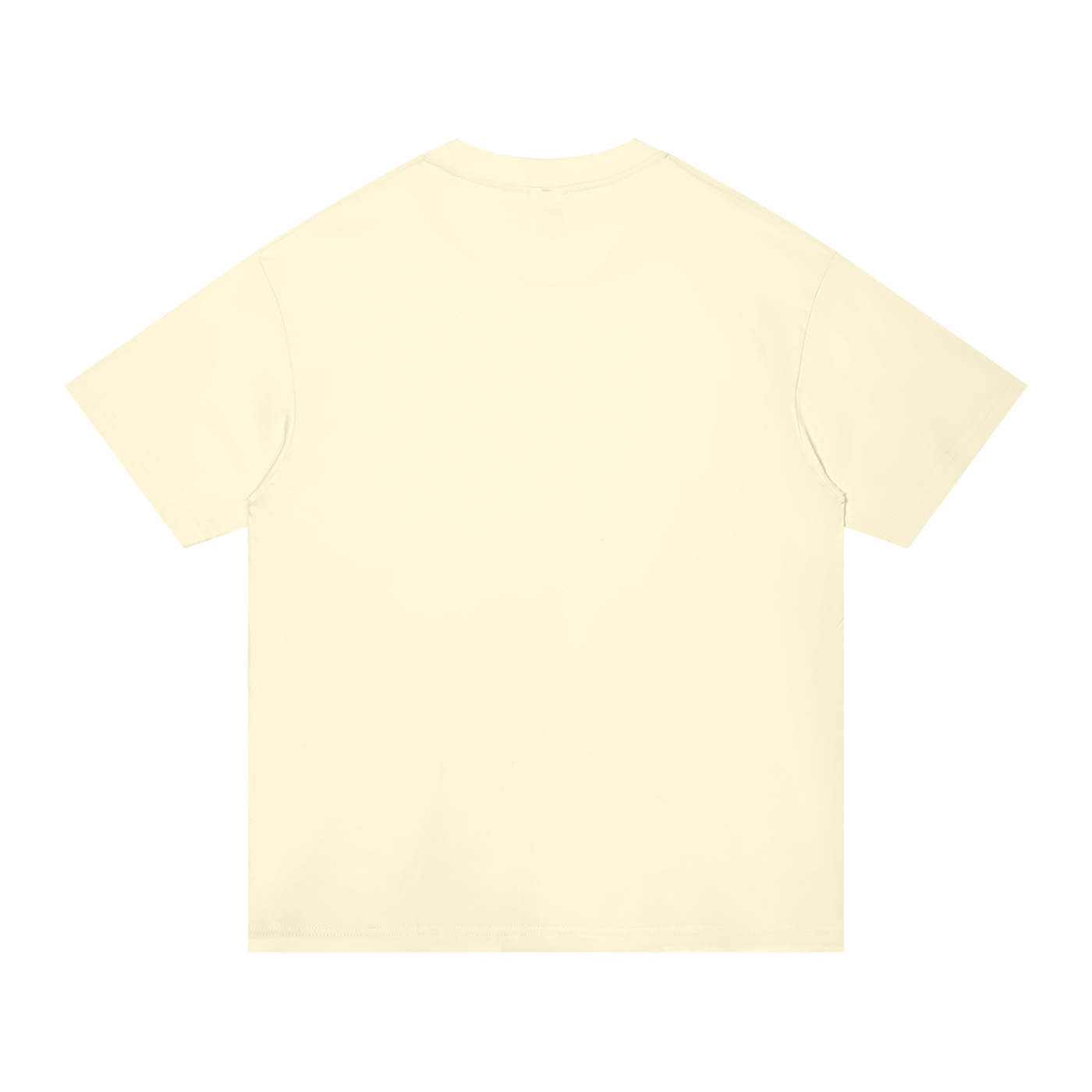 Basic 2 Lakewood Ranch Unisex Regular Fit Cotton T-Shirt