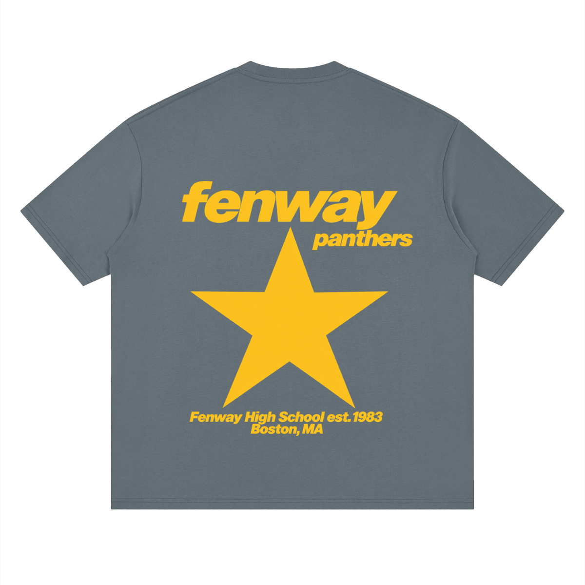 Big Star Fenway Oversized Drop Shoulder T-Shirt