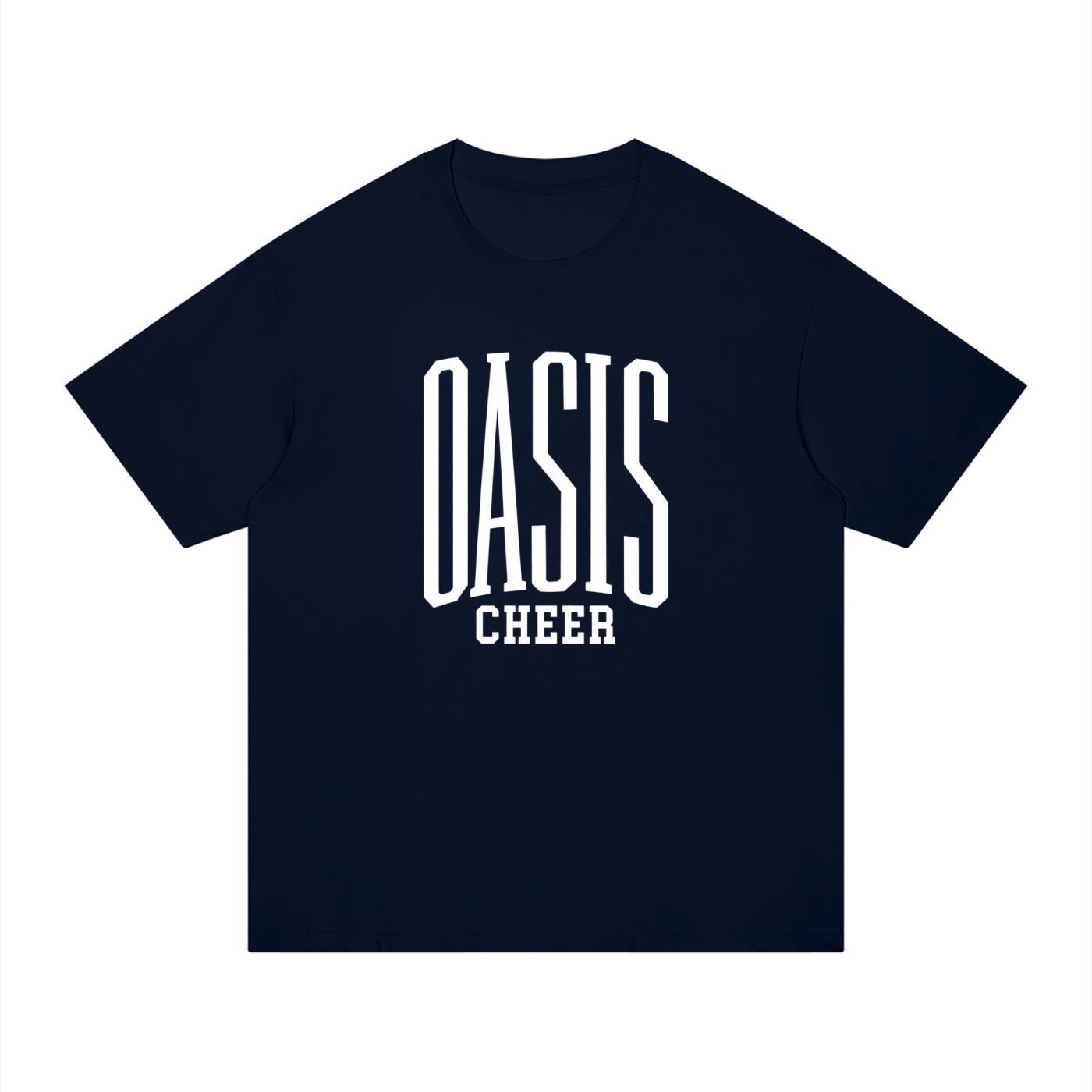Basic 3 Oasis Unisex Regular Fit Cotton T-Shirt