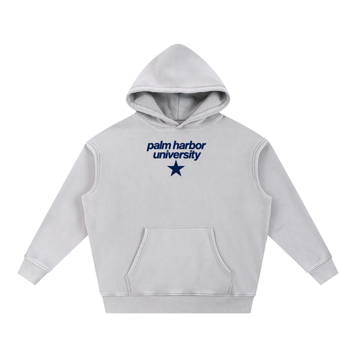 Big Star Palm Harbor Snow Wash Fleece Oversize Hoodie