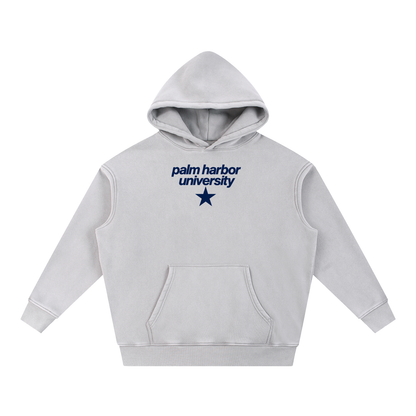 Big Star Palm Harbor Snow Wash Fleece Oversize Hoodie